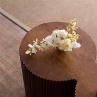 Magdalene Kan | Freelance logo - Similar company to Studio Circa