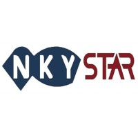 NKY Star Construction Georgia logo - Similar company to Geoexpress