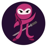 Numpy Ninja logo - Similar company to Numpy