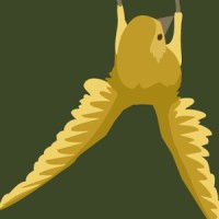 Little Weaver Web Collective
