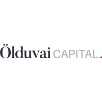Olduvai Capital logo - Similar company to The 22 Fund