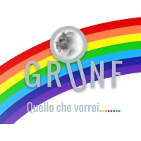 Grunf Srls