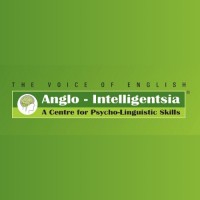 Anglo Intelligentsia logo - Similar company to Coppra