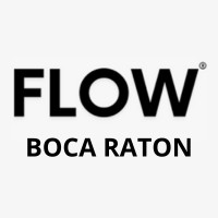 Flow International Group - Boca Raton FL logo - Similar company to Illuminate Virtual Team