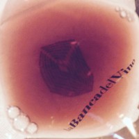 La Banca del Vino di Pollenzo logo - Similar company to Cean Spa