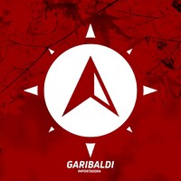Importadora Garibaldi S.A logo - Similar company to Eberhard Lewkowitz Importadora Representaciones