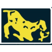 CIRIA TANNING CO PVT LTD logo - Similar company to Skipper Tm