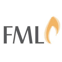 FML - Functional Materials Laboratory logo - Similar company to Sourcein Gmbh