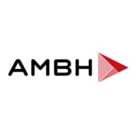AMBH Consulting logo - Similar company to Exapik (Acquired)