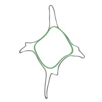 MGPALAEO logo - Similar company to Petrostrat