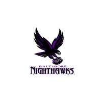 Baltimore Nighthawks logo - Similar company to Tiger One