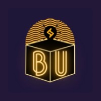 Brightness Unleashed logo - Similar company to Selr Ai