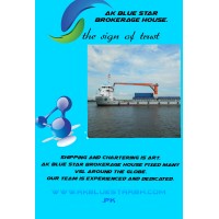 AK BLUE STAR BROKERAGE HOUSE logo - Similar company to Meritorious