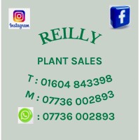 Reilly Plant Sales logo - Similar company to Mmk Surfacing Ltd