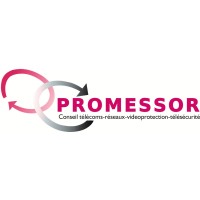 Promessor logo - Similar company to Triaaangles