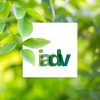 Industrias Alimenticias Del Valle S.R.L. logo - Similar company to Lh Srl