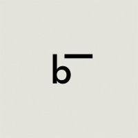 Berlin Skin logo - Similar company to Lesse