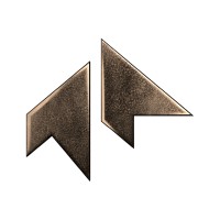 ACCURATE PROFESSIONAL logo - Similar company to Falchi Interiors