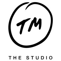 TM The Studio logo - Similar company to Genius Division Limited