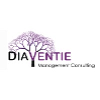 Diaventie Management Consulting