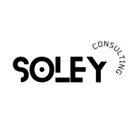 Soley Consulting logo - Similar company to White2Net