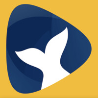 Fickle Fish Media logo - Similar company to Digimarketing