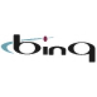 BinQ logo - Similar company to Cross Internet