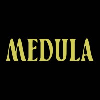 Medula logo - Similar company to Bizzy Group