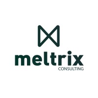 Meltrix Consulting logo - Similar company to Elevate Consulting Armenia