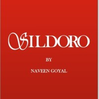 Sildoro logo - Similar company to Lv Tech