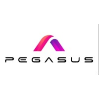 Pegasus Insys logo - Similar company to It Solution Pte Ltd