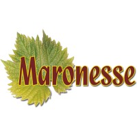 Maronesse logo - Similar company to Feestphotobooth