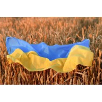 Ukraine's Grains & Trains logo - Similar company to Duminart Events