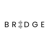 Bridge Advisory Group logo - Similar company to Hudsonpoint Group