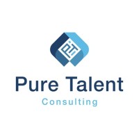 Pure Talent Consulting logo - Similar company to Bigsolve