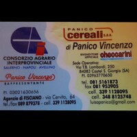 Panico Cereali S.a.s logo - Similar company to Aurora Cereali