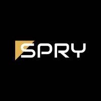 Spry Insights logo - Similar company to Base Academy For Education
