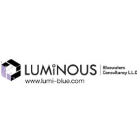 Luminous Bluewaters Consultancy logo - Similar company to Stouchactiv