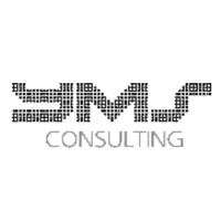 YMS Consulting LLC logo - Similar company to Nuvo Mart