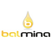 Balmina Beekeeping logo - Similar company to Tyla Glas Bees