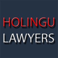 Holingu Lawyers logo - Similar company to Techorses