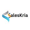 SalesKria logo - Similar company to Vendisys | Generate More Pipeline And Revenue At Scale
