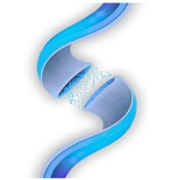 Synappse AI logo - Similar company to Biglink