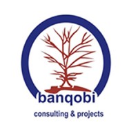 Banqobi Consulting & Projects logo - Similar company to Mavens People Strategists