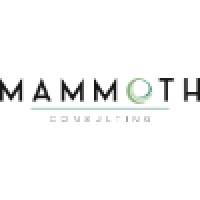 Mammoth Consulting logo - Similar company to Mammoth Consulting
