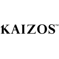 Kaizos logo - Similar company to De Team