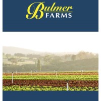 Bulmer Farms Pty Ltd logo - Similar company to Prodoz International Pty Ltd