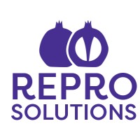 Repro Solutions, P.C.