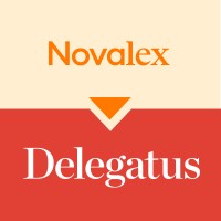 Novalex logo - Similar company to Mn Squared