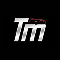 Tabangi Motors logo - Similar company to Izmostock